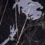 Bild Karin Baumgartner