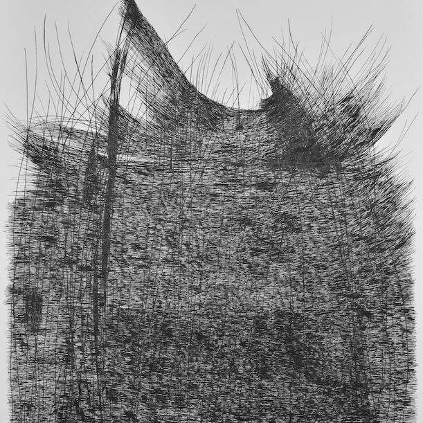 Bild Marianna Gostner